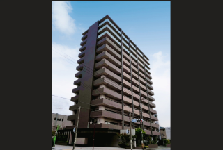 �A���t�@�X�e�C�c�����w